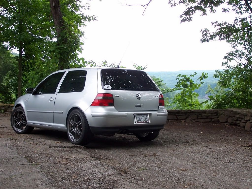 Need Help, Euro Plate Ideas VW Vortex Volkswagen Forum